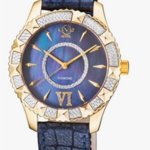 EVRI Gold and Black Watch